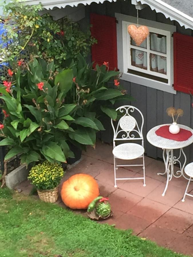 Ferienwohnung Pusteblume Alpirsbach Εξωτερικό φωτογραφία