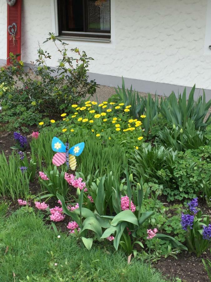 Ferienwohnung Pusteblume Alpirsbach Εξωτερικό φωτογραφία